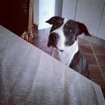 Andrea Rispoli - @andrearispoli - Instagram