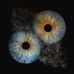 Andrea Rizzo - Facebook