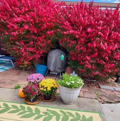 Andrea Ruby - @andrea.ruby2 - TikTok