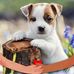 Andreea Ruby - Facebook