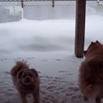 Andrea Sadowski - @monkey2163 - Instagram