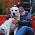 Andrea Schubert - @schubert8711 - Instagram