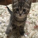 Andrea Foster Sheppard - @fostersheppard3 - Instagram