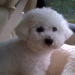 Andrea Cohn Silverman - @jerseygranma9 - Instagram