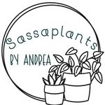Andrea Simkins - @sassaplantsbyandrea - Instagram