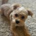 Andrea Snook-Schnoor - Facebook
