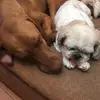 Andrea Stokes - @andrea.stokes4 - TikTok