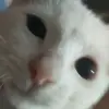 Andrea Summer - @andrea.summer14 - TikTok