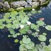 Andreas Summer - Facebook
