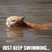 Andrea Tharp - Facebook