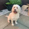 andreathomson__ - @andreathomson__ - TikTok