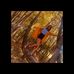 Andrea Tompkins - Facebook