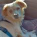 Andrea Ullmann - Facebook