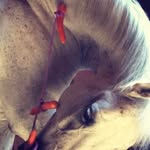 Andrea Ullmann Okle - @aullmi70 - Instagram