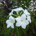 Andrea Ullmann Ullmann - Facebook
