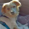 andreaullmann72 - @andreaullmann72 - TikTok
