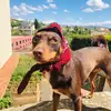 andreea.verner - @andre.sh - TikTok
