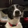 andrea - @andrea.wall - TikTok