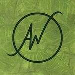 Andrea Westfall - @awestfall.artxdesign - Instagram