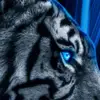 Andreas Wesemeyer - @andreas.wesemeyer - TikTok