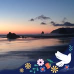Andrea Wiggins - Facebook
