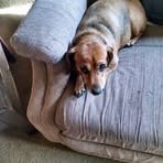 Andrea Wiggins - Facebook