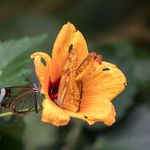 Andrea Wilhelm - @andrea.wilhelm.775 - Instagram