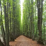 Andreas Albrecht - @albi1.011 - Instagram
