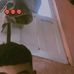 Andrés Anklal - Facebook