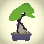Andreas Beck - @hobbybonsai - Instagram