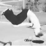 Andreas Carlsson - @andy_freerunning - Instagram