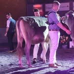 Felder Andreas - @felder_andreas - Instagram