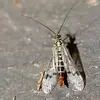 Andreas Frey - @andreas.frey6 - TikTok