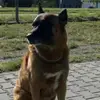 andreasheilmann1 - @andreasheilmann1 - TikTok