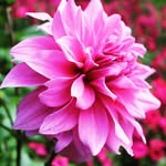 Andreas Jansson - @zero_nature - Instagram