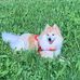 Andreas Kim - Facebook