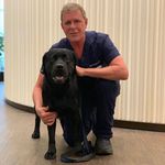 Andreas Kim - @andreas_kim_54 - Instagram