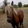 andreaskrueger1808 - @userv6n6thl548 - TikTok
