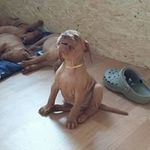 Andreas - @andreas_kunze_ - Instagram