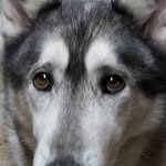 Andreas Langner - @andreaslangner6327 - Instagram
