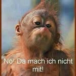 Andreas Langner - @langner3627 - Instagram
