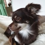 Andreas Langner - @an.langner - Instagram
