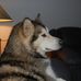 Andreas Persson - Facebook