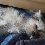 Andreas Pfeiffer - @andreas.pfeiffer150 - Instagram