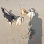 Andreas Pfeiffer - @andreas.pfeiffer171267 - Instagram