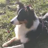Andreas Schultz745 - @andreasschultz745 - TikTok