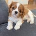 Andreas Thomas - Facebook