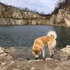 Andreas Thomas - @andreas.thomas45 - TikTok