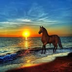 Andreas Thomson - Facebook