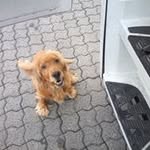 andreas vogt - @andreasvogt100 - Instagram
